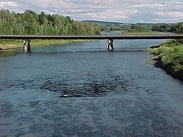 Aroostook River httpsuploadwikimediaorgwikipediacommonsthu