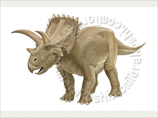 Arrhinoceratops Arrhinoceratops