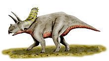 Arrhinoceratops httpsuploadwikimediaorgwikipediacommonsthu