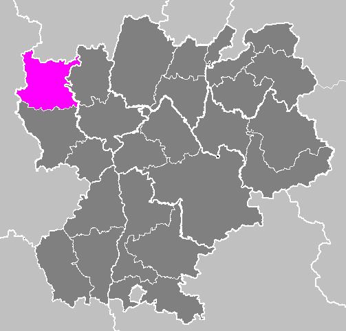 Arrondissement of Roanne
