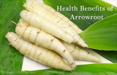Arrowroot Health Benefits of Arrowroot
