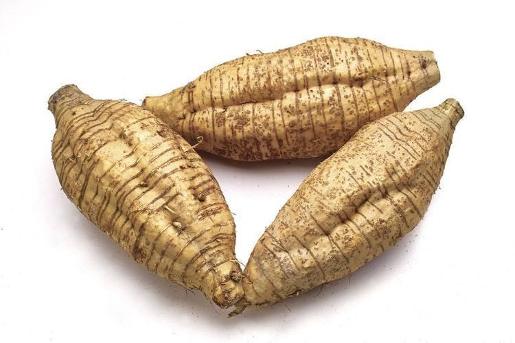 Arrowroot Body Tonique Presents the Skin Benefits of Pearls Arrowroot and