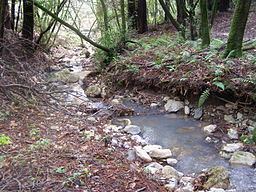 Arroyo Seco Creek httpsuploadwikimediaorgwikipediacommonsthu