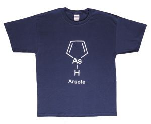 Arsole Arsole TShirt XX Large Unusual Gifts Free Delivery