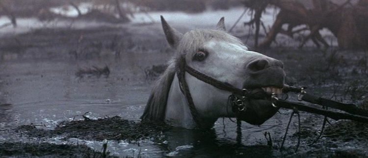 Artax (horse) 8 Reasons Why The Neverending Story Is a Psychological Horror Show