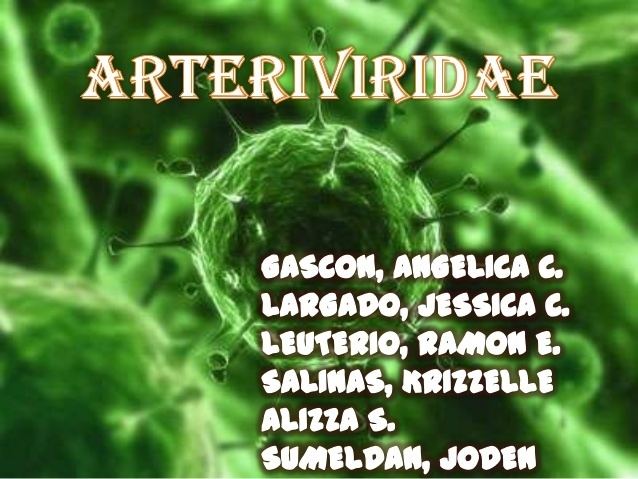 Arterivirus httpsimageslidesharecdncomarteriviridae1403