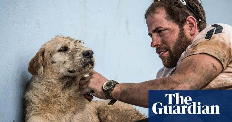 The day I met Arthur, the dog who walked through the jungle to stay by me |  Dogs | The Guardian
