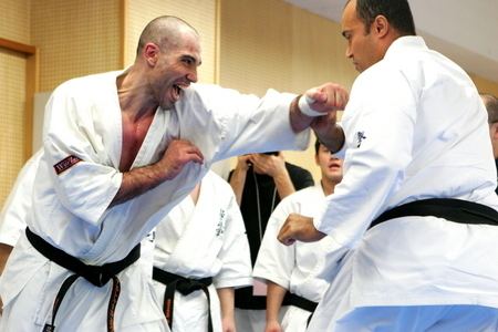 Arthur Hovhannisyan (karateka) wwwkyokushinkaikanorgennewsassetsc2009041