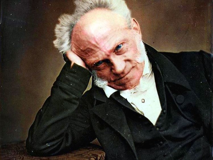 Arthur Schopenhauer The Body of Sublime Knowledge The Aesthetic Phenomenology of Arthur