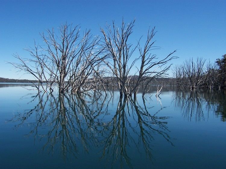 Arthurs Lake (Tasmania) wwwtroutfishtascom1000607JPG