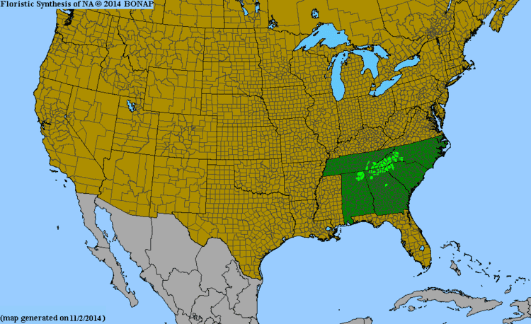 Arundinaria appalachiana 2013 BONAP North American Plant Atlas TaxonMaps