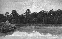 Aruwimi River httpsuploadwikimediaorgwikipediacommonsthu