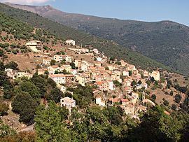 Asco, Haute-Corse httpsuploadwikimediaorgwikipediacommonsthu