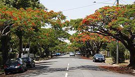 Ascot, Queensland httpsuploadwikimediaorgwikipediacommonsthu