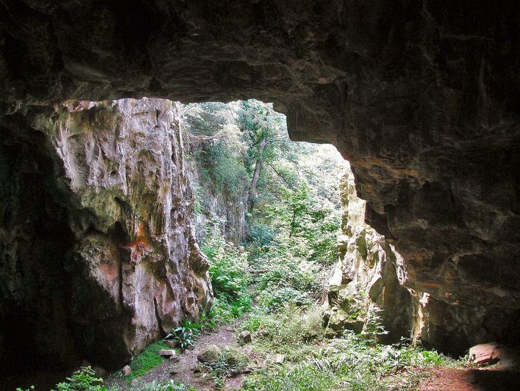 Ash Hole Cavern httpsuploadwikimediaorgwikipediacommonsthu