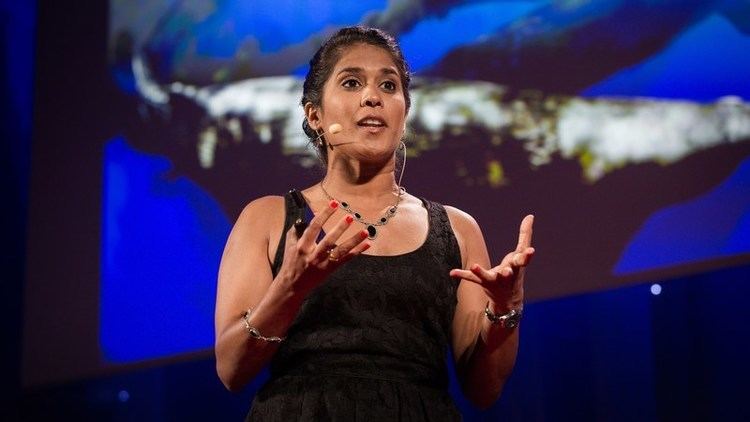 Asha de Vos Asha de Vos Why you should care about whale poo TED Talk TEDcom