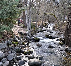 Ashland Creek httpsuploadwikimediaorgwikipediacommonsthu