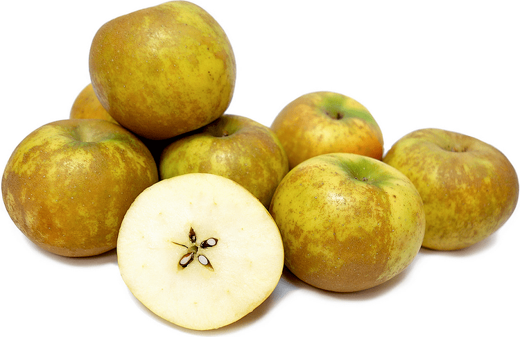 Ashmead's Kernel Ashmead39s Kernel Apples Information Recipes and Facts
