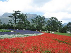Aso Kujū National Park httpsuploadwikimediaorgwikipediacommonsthu