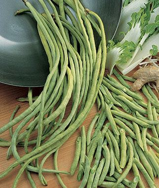 Asparagus bean Asparagus Yardlong Bean Seeds and Plants Annual Flowers at Burpeecom