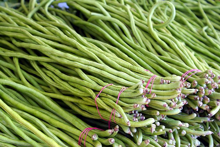 Asparagus bean Long Beans Kitchen Basics Harvest to Table