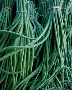 Asparagus bean Heirloom Yard Long Asparagus Bean Seeds Rare