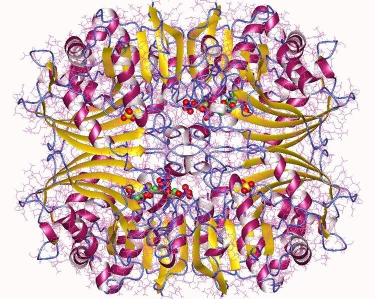 Aspartate-semialdehyde dehydrogenase