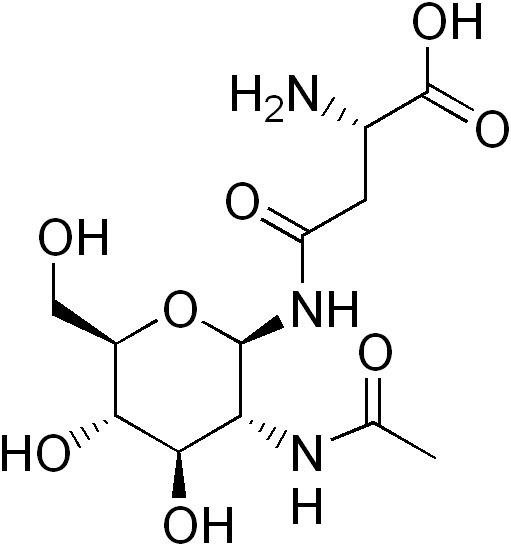 Aspartylglucosamine