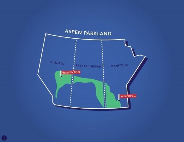 Aspen parkland Cultural Landscapes Aspen Parkland Spacing Edmonton