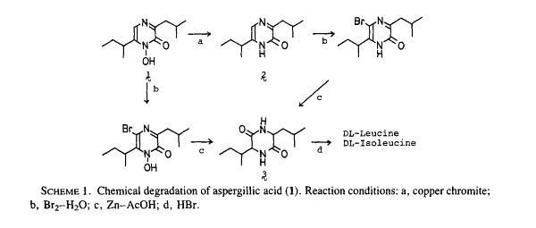 Aspergillic acid httpsuploadwikimediaorgwikipediacommonsbb