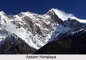 Assam Himalaya wwwindianetzonecomphotosgallery70AssamHimal