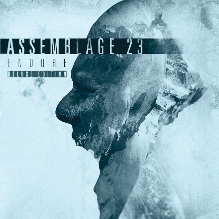 Assemblage 23 Assemblage 23 to prepare new 39Endure39 album as a deluxe 2CD set