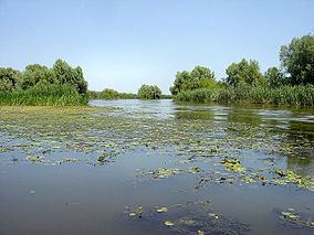 Astrakhan Nature Reserve httpsuploadwikimediaorgwikipediacommonsthu
