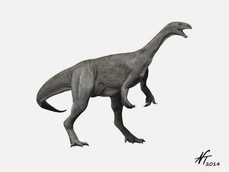 Asylosaurus imagesdinosaurpicturesorgAsylosaurusNT8b18jpg