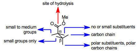Asymmetric ester hydrolysis with pig-liver esterase