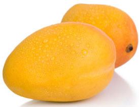 Ataulfo (mango) wwwjacobifruitscomwpcontentuploads201207Ma