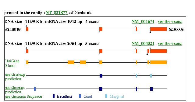 ATF3 Genatlas sheet