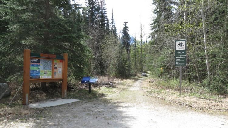 Athabasca Pass Athabasca Pass Mountain Bike Trail in Jasper Alberta