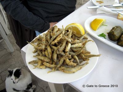 Atherina Gate to Greece Greek food sea food DeepFried Atherina
