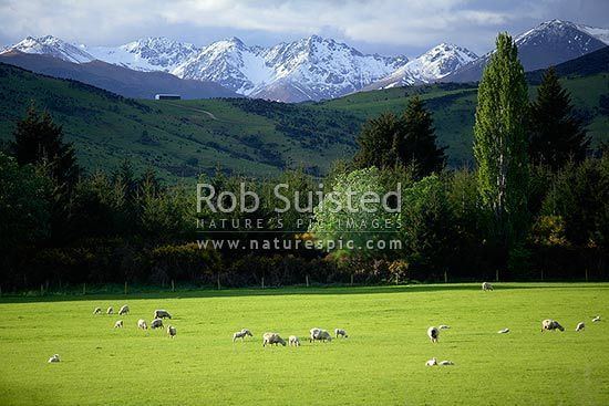 Athol, New Zealand wwwnaturespiccomi32113GL00wjpg