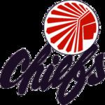 Atlanta Chiefs httpsuploadwikimediaorgwikipediaenthumb2