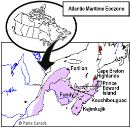 Atlantic Maritime Ecozone (CEC) mrnagribiankoecozones 2 atlantic maritime