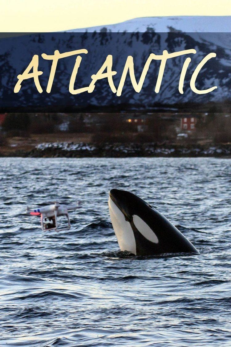 Atlantic: The Wildest Ocean on Earth wwwgstaticcomtvthumbtvbanners11960681p11960