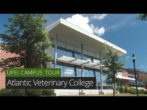 Atlantic Veterinary College Atlantic Veterinary College Tour YouTube
