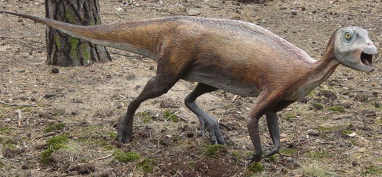 Atlascopcosaurus httpsuploadwikimediaorgwikipediacommonsthu