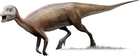 Atlascopcosaurus ATLASCOPCOSAURUS DinoChecker dinosaur archive