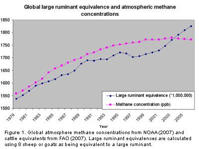 Atmospheric methane Belching Ruminants a minor player in atmospheric methane Animal