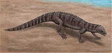 Atoposauridae httpsuploadwikimediaorgwikipediacommonsthu