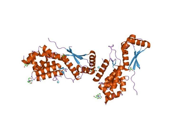 ATP-dependent Clp protease adaptor protein ClpS