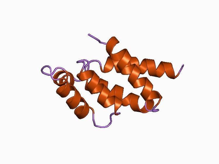 ATP synthase delta subunit